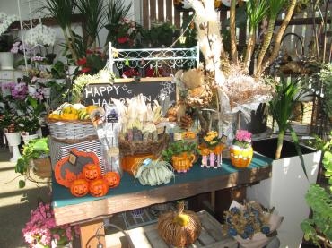 ハロウィン｜「難波ナーセリー」　（岡山県倉敷市の花キューピット加盟店 花屋）のブログ