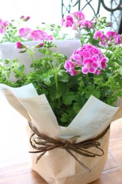 宅配で発送しました♪｜「アライ花店」　（山形県山形市の花キューピット加盟店 花屋）のブログ