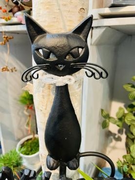 黒猫をさがせ！｜「彩季舎」　（群馬県高崎市の花キューピット加盟店 花屋）のブログ