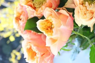 昨日の雪はどこへやら。。。。｜「アライ花店」　（山形県山形市の花キューピット加盟店 花屋）のブログ