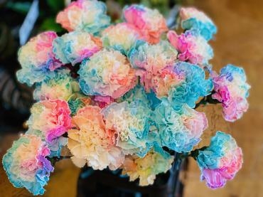 レインボーカーネーション｜「彩季舎」　（群馬県高崎市の花キューピット加盟店 花屋）のブログ