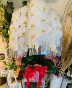 「幸福が飛んでくる」｜「彩季舎」　（群馬県高崎市の花キューピット加盟店 花屋）のブログ