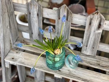自然のまま｜「彩季舎」　（群馬県高崎市の花キューピット加盟店 花屋）のブログ