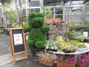 定休日のお知らせ｜「難波ナーセリー」　（岡山県倉敷市の花キューピット加盟店 花屋）のブログ