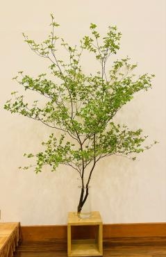 メインバック装飾｜「彩季舎」　（群馬県高崎市の花キューピット加盟店 花屋）のブログ