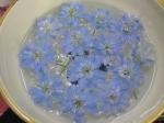 ふわふわ｜「花かざり」　（大阪府大阪市城東区の花キューピット加盟店 花屋）のブログ