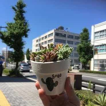 多肉愛あふれていますよ～｜「フローリスト飾り屋」　（鹿児島県鹿児島市の花キューピット加盟店 花屋）のブログ
