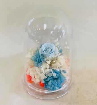 どこから見ても｜「彩季舎」　（群馬県高崎市の花キューピット加盟店 花屋）のブログ