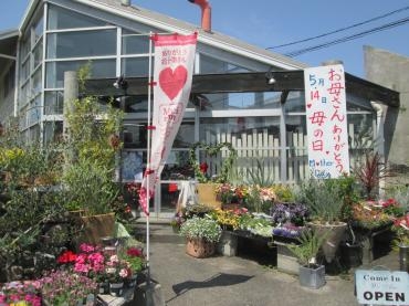 5/14は母の日です｜「難波ナーセリー」　（岡山県倉敷市の花キューピット加盟店 花屋）のブログ