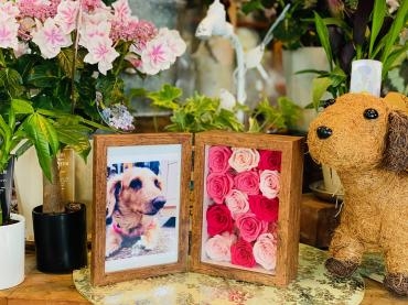 いつも一緒｜「彩季舎」　（群馬県高崎市の花キューピット加盟店 花屋）のブログ