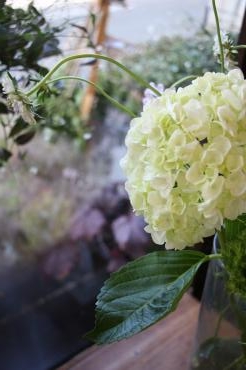 父の日にあたり｜「アライ花店」　（山形県山形市の花キューピット加盟店 花屋）のブログ
