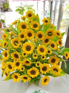 ひまわり57本のアレンジメント！｜「ポピー」　（京都府八幡市の花キューピット加盟店 花屋）のブログ
