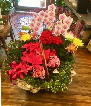 豪華な花ギフト～いい夫婦の日～｜「フローリスト飾り屋」　（鹿児島県鹿児島市の花キューピット加盟店 花屋）のブログ