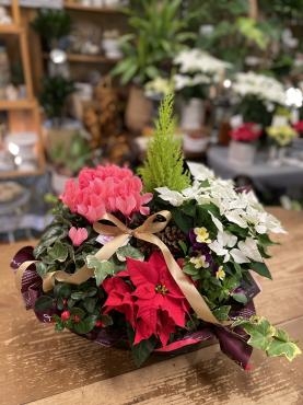 お祝いのお花・・・｜「フローリスト飾り屋」　（鹿児島県鹿児島市の花キューピット加盟店 花屋）のブログ