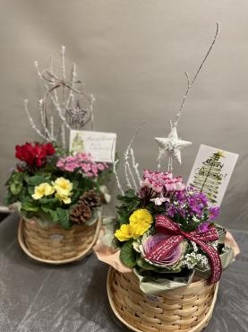 寄せ鉢セットで笑顔のプレゼント・・・｜「フローリスト飾り屋」　（鹿児島県鹿児島市の花キューピット加盟店 花屋）のブログ