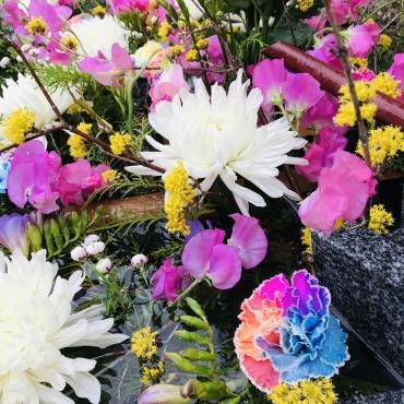 今週の飛行神社の花手水（レインボーカーネーション）※花の価格が高騰しすぎ!!｜「ポピー」　（京都府八幡市の花キューピット加盟店 花屋）のブログ