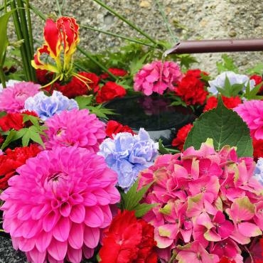 飛行神社の花手水、今回で夏季休業になります。｜「ポピー」　（京都府八幡市の花キューピット加盟店 花屋）のブログ
