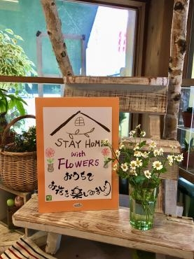 自宅にお花のある暮らし・・・(*‘∀‘)｜「フローリスト飾り屋」　（鹿児島県鹿児島市の花キューピット加盟店 花屋）のブログ
