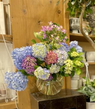 紫陽花・・・｜「フローリスト飾り屋」　（鹿児島県鹿児島市の花キューピット加盟店 花屋）のブログ