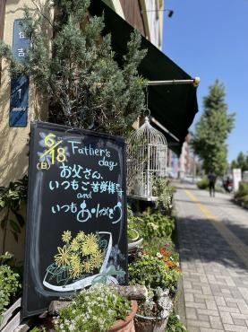 父の日は６月１８日ですよ｜「フローリスト飾り屋」　（鹿児島県鹿児島市の花キューピット加盟店 花屋）のブログ
