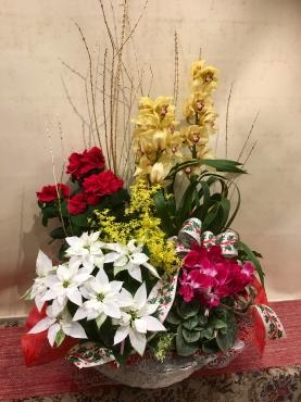 ゴージャスな贈り物・・・｜「フローリスト飾り屋」　（鹿児島県鹿児島市の花キューピット加盟店 花屋）のブログ