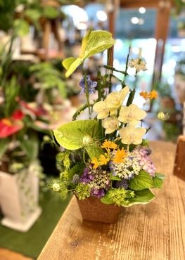 入荷情報と店休日のお知らせです・・・｜「フローリスト飾り屋」　（鹿児島県鹿児島市の花キューピット加盟店 花屋）のブログ