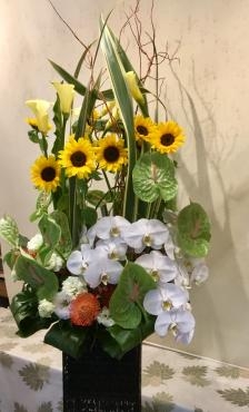 夏らしいお花で開店御祝スタンド、アレンジメント・・・・｜「フローリスト飾り屋」　（鹿児島県鹿児島市の花キューピット加盟店 花屋）のブログ