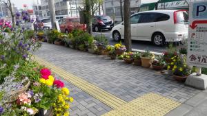 4月に入って　気温上昇の恩恵・・・｜「フローリスト飾り屋」　（鹿児島県鹿児島市の花キューピット加盟店 花屋）のブログ
