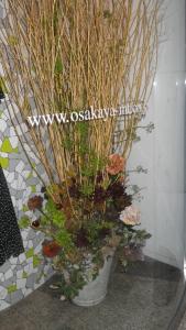 夏から秋へと～～｜「フローリスト飾り屋」　（鹿児島県鹿児島市の花キューピット加盟店 花屋）のブログ