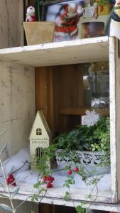 　クリスマスリース✿飾りましたか～｜「フローリスト飾り屋」　（鹿児島県鹿児島市の花キューピット加盟店 花屋）のブログ