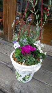寄せ植え～オリーブ柄のテラコッタに・・・☆｜「フローリスト飾り屋」　（鹿児島県鹿児島市の花キューピット加盟店 花屋）のブログ