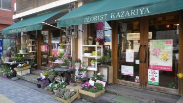 春待ち　・・・・　日和…｜「フローリスト飾り屋」　（鹿児島県鹿児島市の花キューピット加盟店 花屋）のブログ