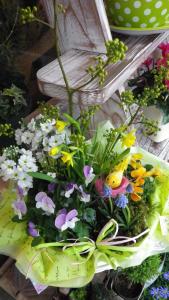 春の寄せ鉢set～特集～｜「フローリスト飾り屋」　（鹿児島県鹿児島市の花キューピット加盟店 花屋）のブログ