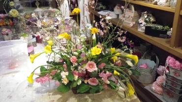 久々の晴れ間に　にんげんも植物も自然に体が動きます～｜「フローリスト飾り屋」　（鹿児島県鹿児島市の花キューピット加盟店 花屋）のブログ