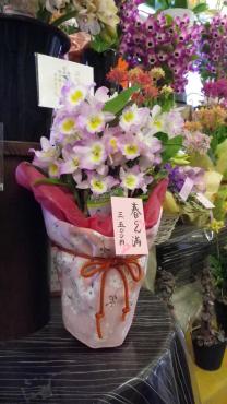 年度末です。　お早目のご相談・ご予約を　・・・。｜「フローリスト飾り屋」　（鹿児島県鹿児島市の花キューピット加盟店 花屋）のブログ