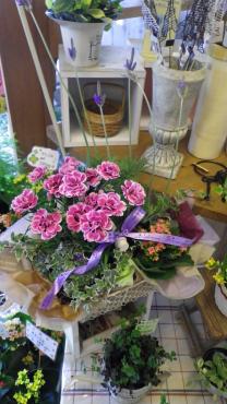 花とみどりのあふれる店内、店頭・・・｜「フローリスト飾り屋」　（鹿児島県鹿児島市の花キューピット加盟店 花屋）のブログ