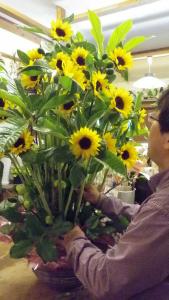 初夏の風を感じて・・・　｜「フローリスト飾り屋」　（鹿児島県鹿児島市の花キューピット加盟店 花屋）のブログ