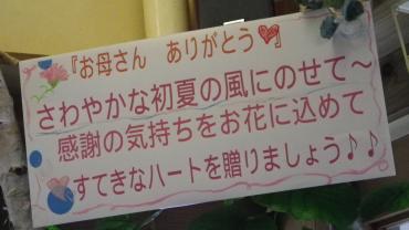 ５・９日、　母の日（５/１３）おすすめギフトのご紹介～｜「フローリスト飾り屋」　（鹿児島県鹿児島市の花キューピット加盟店 花屋）のブログ