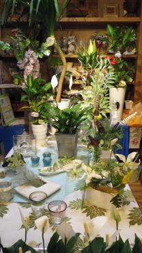 サマーグリーン・・・　レイも仲間入り・・・✿｜「フローリスト飾り屋」　（鹿児島県鹿児島市の花キューピット加盟店 花屋）のブログ