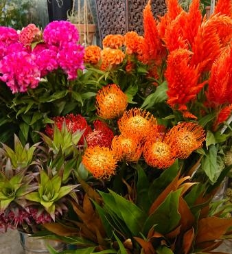 華道教室　活け花　おけいこ花｜「愛花」　（愛媛県松山市の花キューピット加盟店 花屋）のブログ