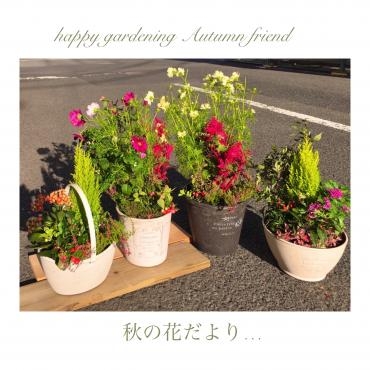 秋空にコスモス、ダリア・・・｜「フローリスト飾り屋」　（鹿児島県鹿児島市の花キューピット加盟店 花屋）のブログ