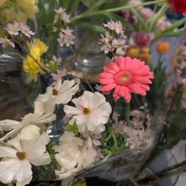 桜、入荷しました！｜「フローラント」　（静岡県三島市の花キューピット加盟店 花屋）のブログ
