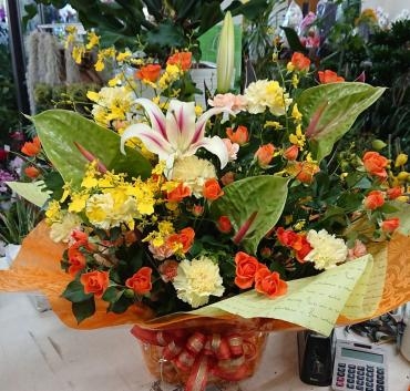 お祝い　アレンジメント　オリエンタル系ユリ「ニンフ」｜「愛花」　（愛媛県松山市の花キューピット加盟店 花屋）のブログ