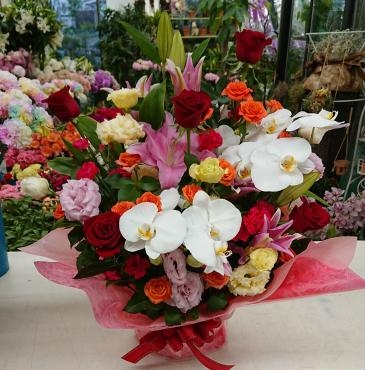 お祝い　華やか胡蝶蘭入り　生花アレンジメント♪｜「愛花」　（愛媛県松山市の花キューピット加盟店 花屋）のブログ
