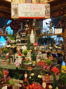 　いい夫婦の日　かわいいぼくたちがお手伝いいたします！｜「フローリスト飾り屋」　（鹿児島県鹿児島市の花キューピット加盟店 花屋）のブログ
