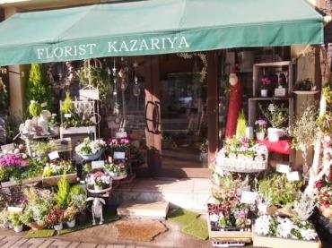 ご用意しました・・・ウインターギフト　楽しく贈り物・・・♪｜「フローリスト飾り屋」　（鹿児島県鹿児島市の花キューピット加盟店 花屋）のブログ