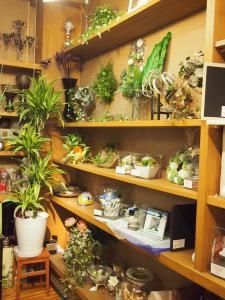 　プリザーブドフラワー　・サマーグリーンで疲れた目を癒しましょう・・・｜「フローリスト飾り屋」　（鹿児島県鹿児島市の花キューピット加盟店 花屋）のブログ