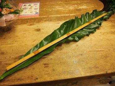 ｏｈ～(^o^)丿ビッグサイズ！　でも　使うとこんな感じ・・・！｜「フローリスト飾り屋」　（鹿児島県鹿児島市の花キューピット加盟店 花屋）のブログ