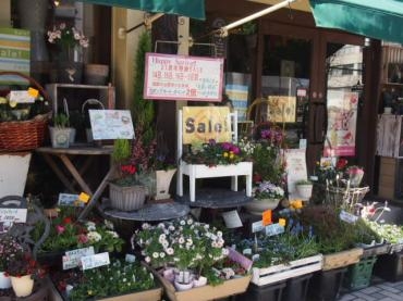 寒い中　ご来店ありがとうございました♪♪｜「フローリスト飾り屋」　（鹿児島県鹿児島市の花キューピット加盟店 花屋）のブログ