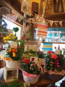 まちどおしいな～　春の妖精たち｜「フローリスト飾り屋」　（鹿児島県鹿児島市の花キューピット加盟店 花屋）のブログ